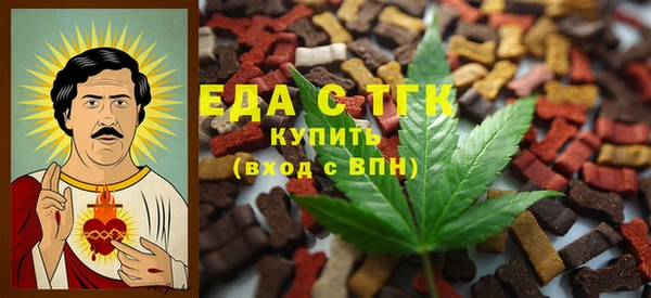 индика Алексин