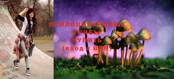 дживик Абинск