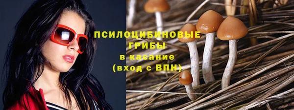 дживик Абинск