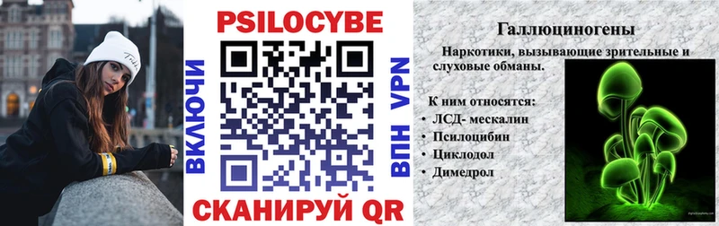 Псилоцибиновые грибы мицелий  где купить наркоту  Александров 